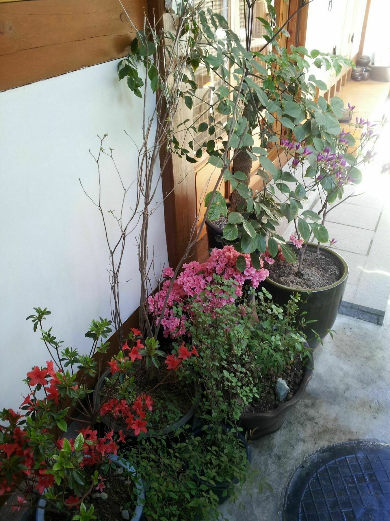 Han Hanok Guesthouse Seúl Exterior foto